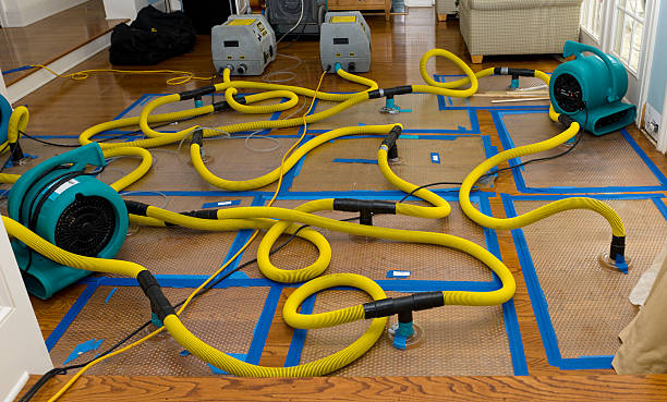 Professional Water Damage Repair technician working in Riva, MD